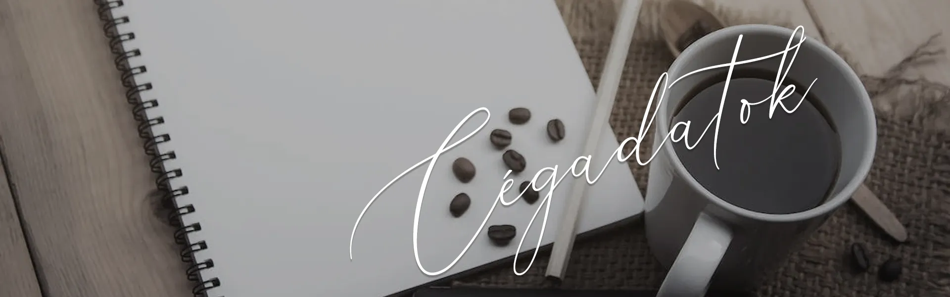 Cégadatok